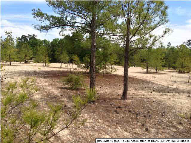0 Greenwell Springs Road Clinton, LA 70722 - Photo 12 of 23 Gallery Image 12