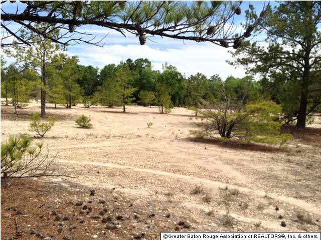 0 Greenwell Springs Road Clinton, LA 70722 - Photo 13 of 23 Gallery Image 13