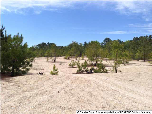 0 Greenwell Springs Road Clinton, LA 70722 - Photo 14 of 23 Gallery Image 14