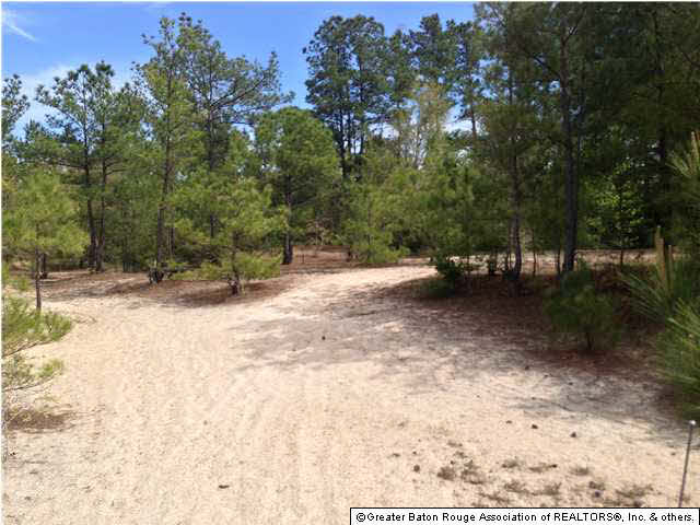 0 Greenwell Springs Road Clinton, LA 70722 - Photo 15 of 23 Gallery Image 15