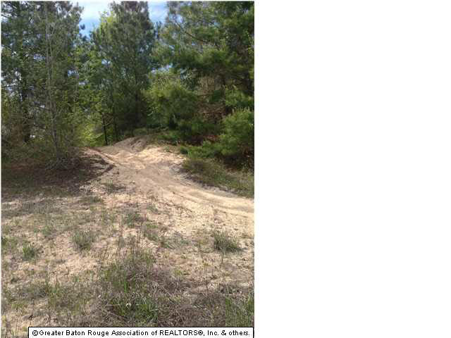 0 Greenwell Springs Road Clinton, LA 70722 - Photo 16 of 23 Gallery Image 16