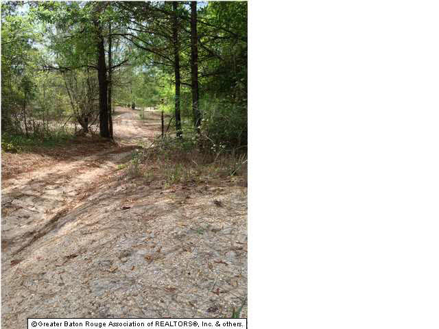 0 Greenwell Springs Road Clinton, LA 70722 - Photo 17 of 23 Gallery Image 17