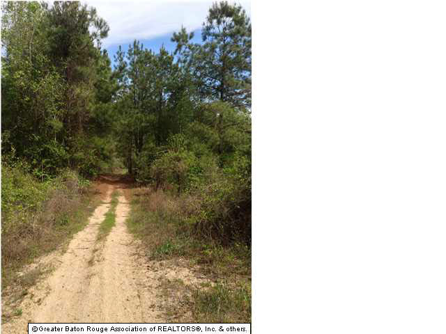 0 Greenwell Springs Road Clinton, LA 70722 - Photo 18 of 23 Gallery Image 18