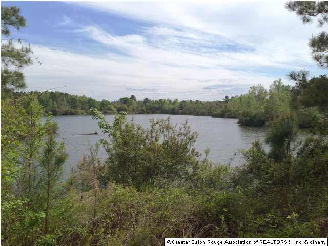 0 Greenwell Springs Road Clinton, LA 70722 - Photo 19 of 23 Gallery Image 19
