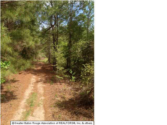 0 Greenwell Springs Road Clinton, LA 70722 - Photo 20 of 23 Gallery Image 20