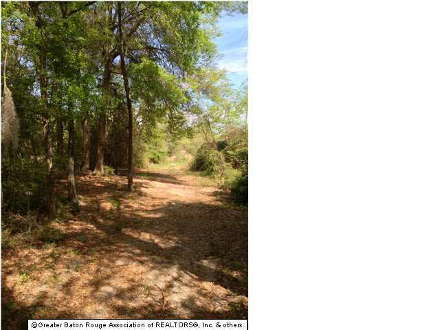 0 Greenwell Springs Road Clinton, LA 70722 - Photo 2 of 23 Gallery Image 2