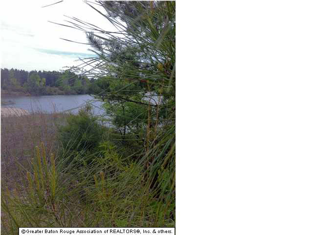 0 Greenwell Springs Road Clinton, LA 70722 - Photo 21 of 23 Gallery Image 21