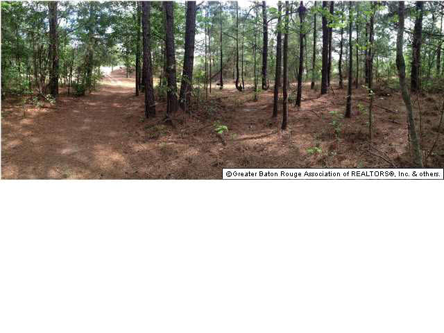 0 Greenwell Springs Road Clinton, LA 70722 - Photo 22 of 23 Gallery Image 22