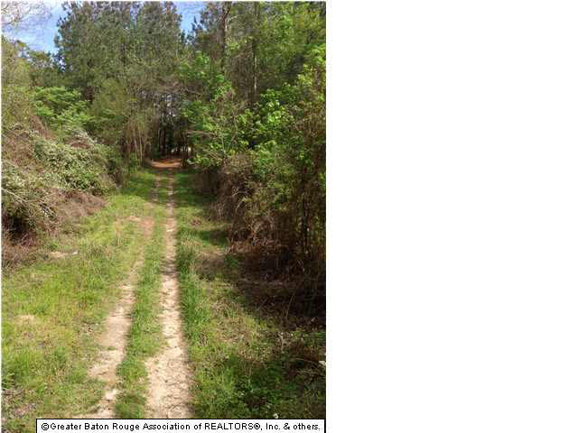 0 Greenwell Springs Road Clinton, LA 70722 - Photo 23 of 23 Gallery Image 23