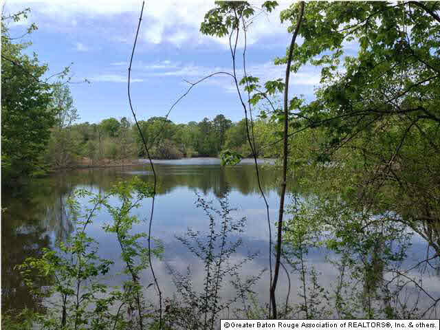 0 Greenwell Springs Road Clinton, LA 70722 - Photo 3 of 23 Gallery Image 3