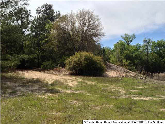 0 Greenwell Springs Road Clinton, LA 70722 - Photo 4 of 23 Gallery Image 4