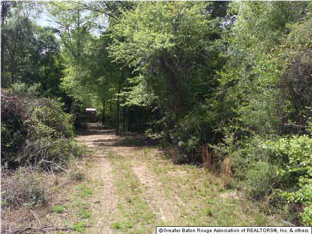 0 Greenwell Springs Road Clinton, LA 70722 - Photo 5 of 23 Gallery Image 5