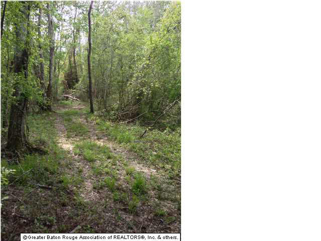 0 Greenwell Springs Road Clinton, LA 70722 - Photo 6 of 23 Gallery Image 6