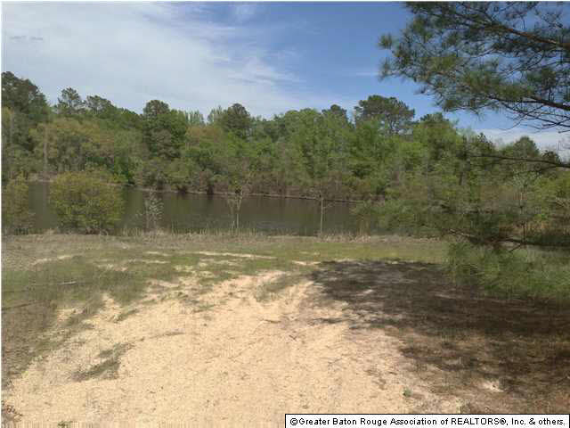 0 Greenwell Springs Road Clinton, LA 70722 - Photo 7 of 23 Gallery Image 7