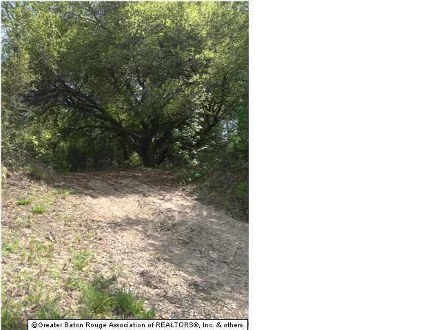 0 Greenwell Springs Road Clinton, LA 70722 - Photo 8 of 23 Gallery Image 8