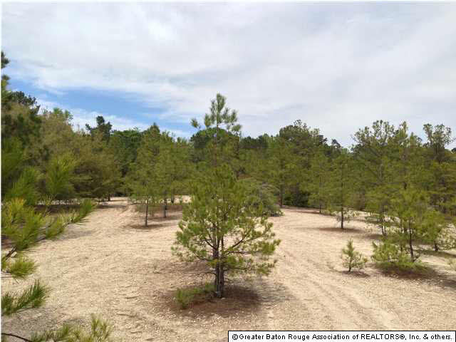 0 Greenwell Springs Road Clinton, LA 70722 - Photo 10 of 23 Gallery Image 10