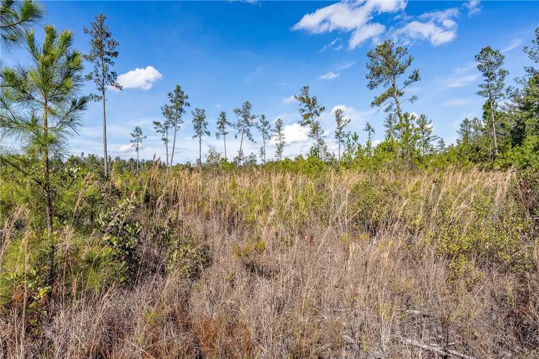 0 Barn Owl Lane Waycross, GA 31503 - Photo 11 of 11