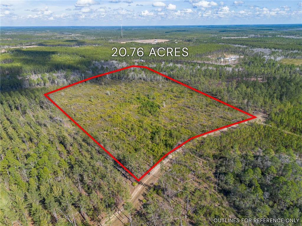 0 Barn Owl Lane Waycross, GA 31503 - Photo 3 of 11