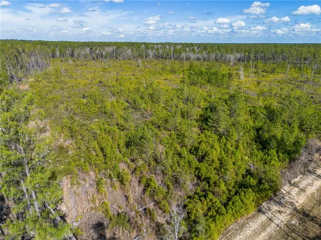 $77,850 | 0 Barn Owl Lane, Waycross, GA 31503