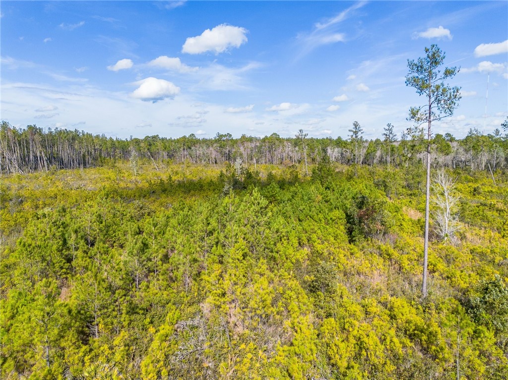 0 Barn Owl Lane Waycross, GA 31503 - Photo 8 of 11
