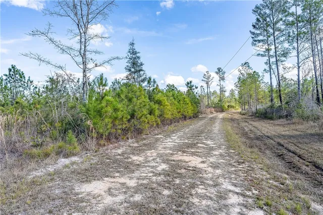 $77,850 | 0 Barn Owl Lane, Waycross, GA 31503