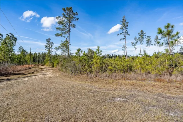 $77,850 | 0 Barn Owl Lane, Waycross, GA 31503
