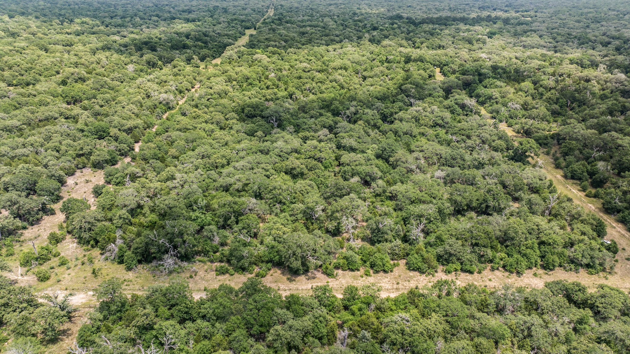 215 Cr 215 Road Weimar, TX 78962 - Photo 3 of 10