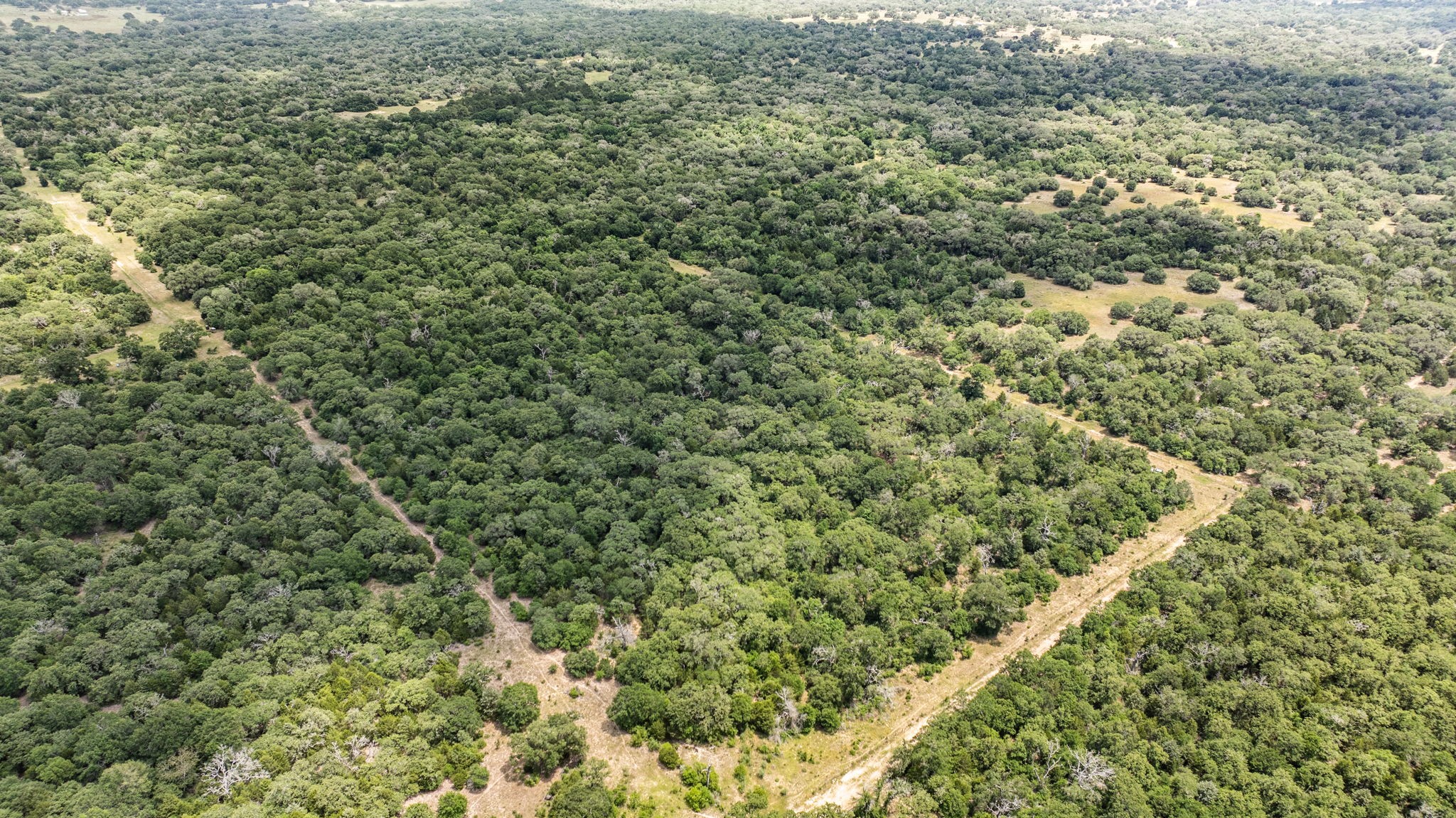 215 Cr 215 Road Weimar, TX 78962 - Photo 4 of 10