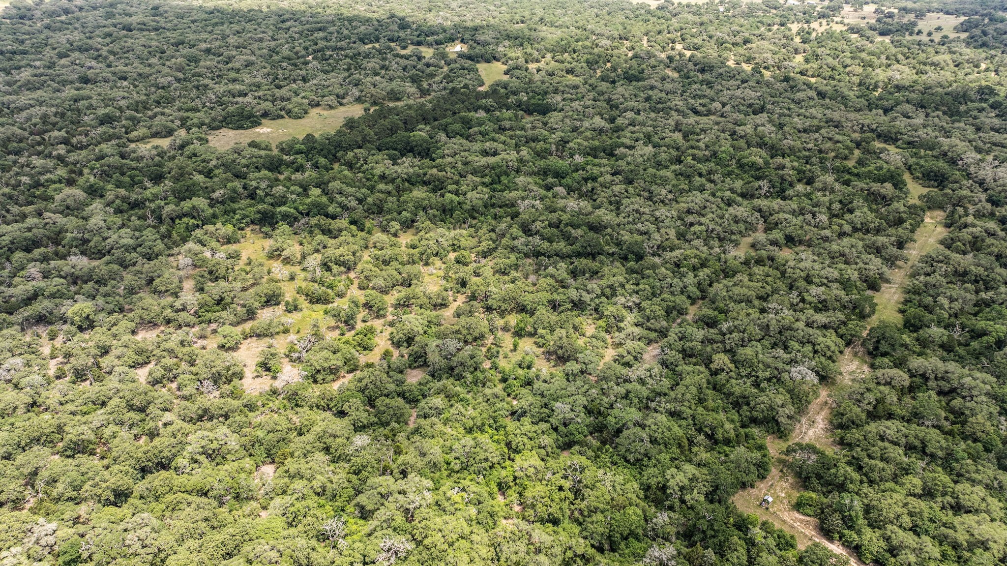 215 Cr 215 Road Weimar, TX 78962 - Photo 5 of 10