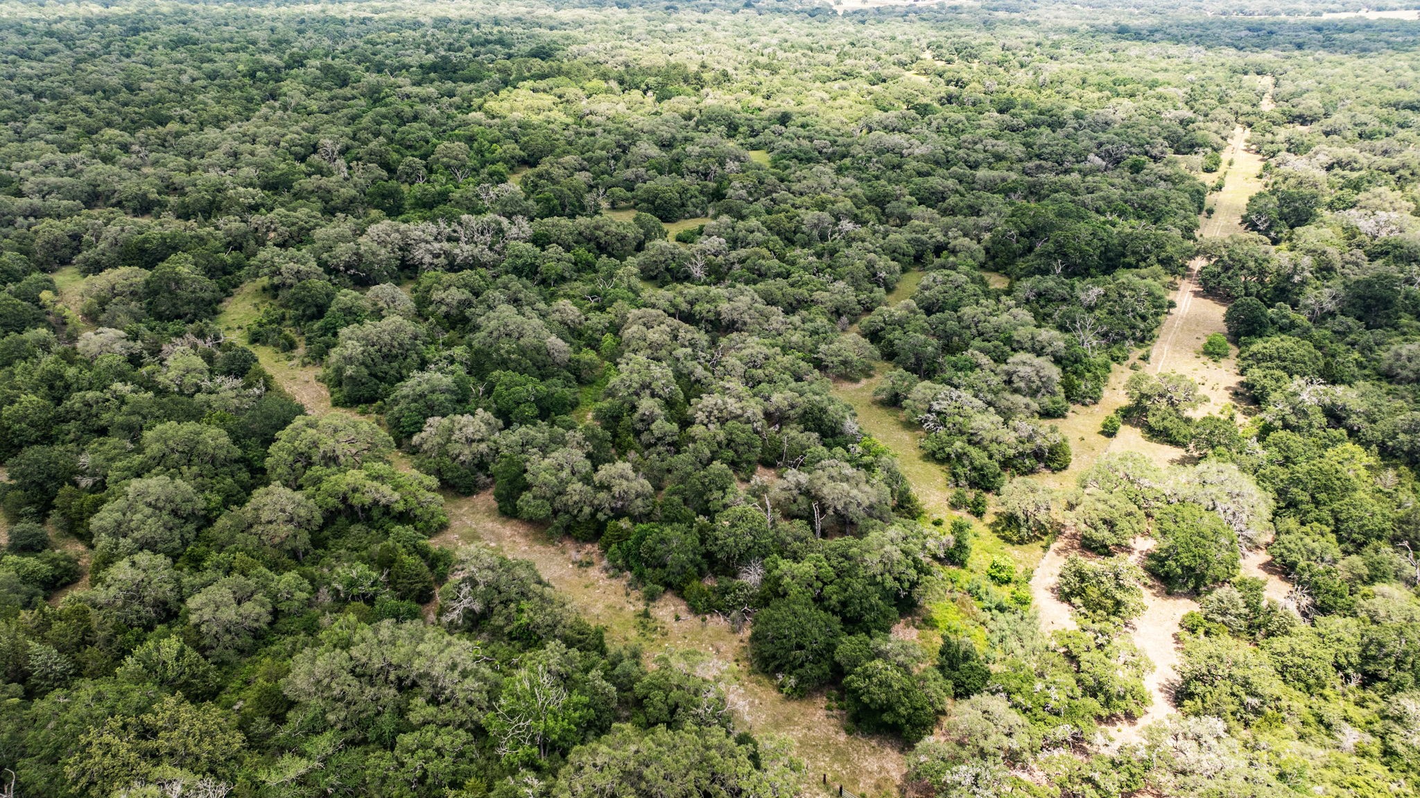 215 Cr 215 Road Weimar, TX 78962 - Photo 6 of 10