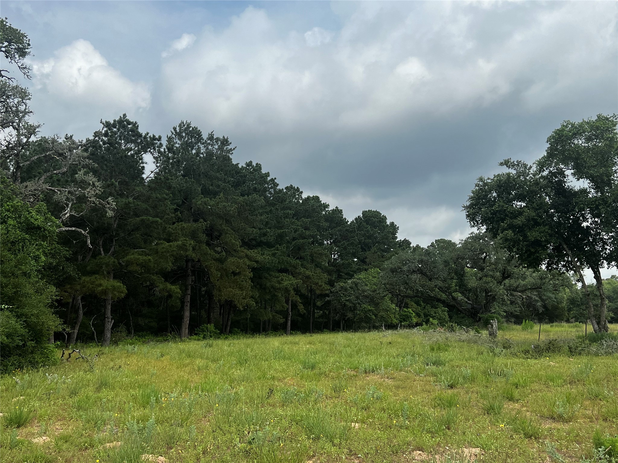 215 Cr 215 Road Weimar, TX 78962 - Photo 8 of 10 a view of outdoor space and yard