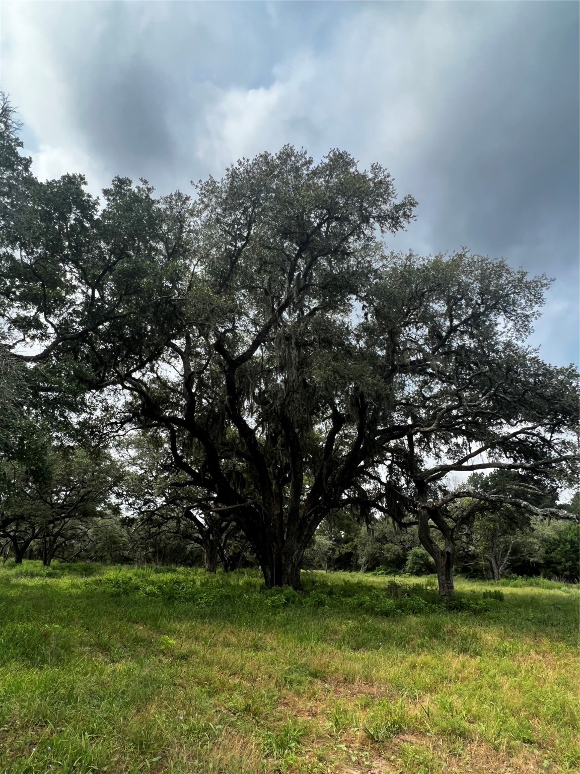 215 Cr 215 Road Weimar, TX 78962 - Photo 9 of 10