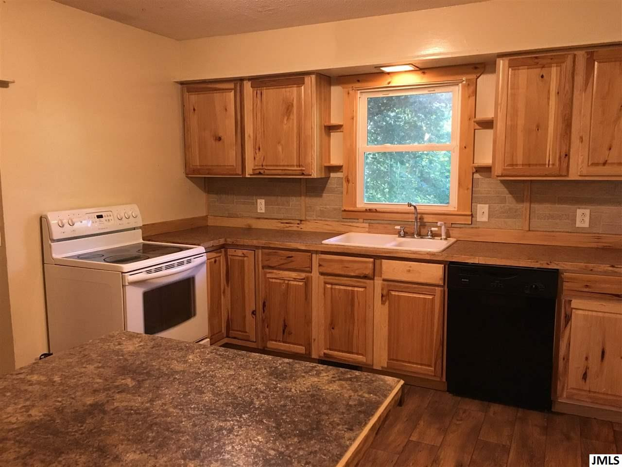 10195 Palmer Road Brooklyn, MI 49230 - Photo 3 of 11 Photo 3