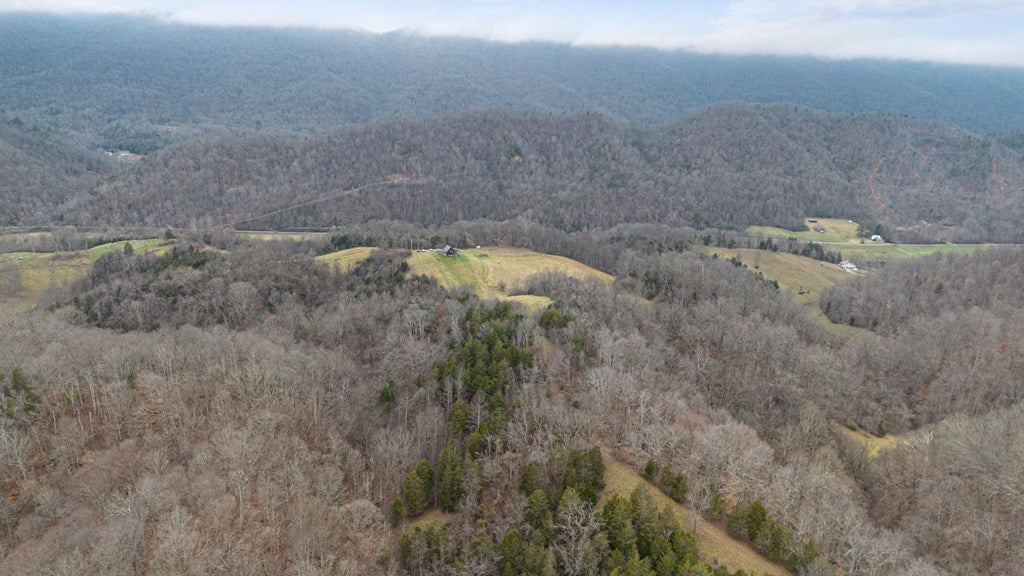 7252 Appaloosa Road Mendota, VA 24270 - Photo 20 of 26 Gallery Image 20