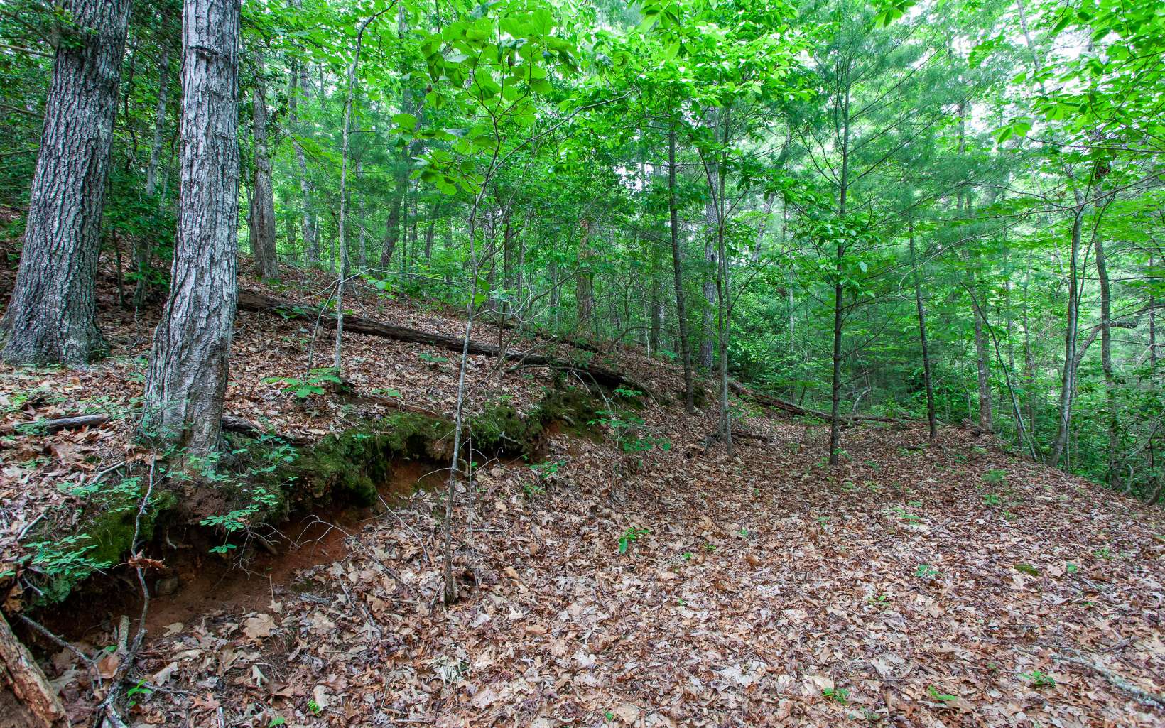 0 Mountain View Road Murphy, NC 28906 - Photo 12 of 22 Additional View