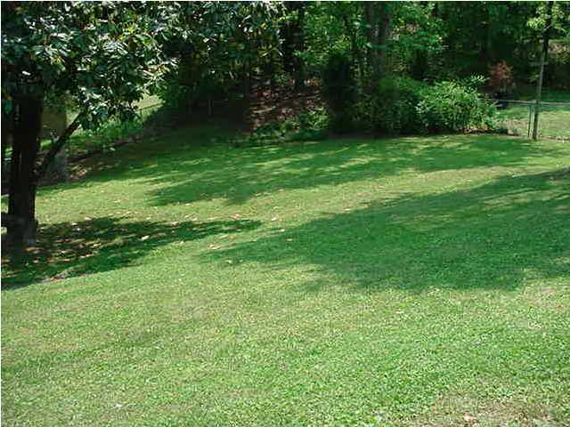 218 Rolling Ridge Drive Chattanooga, TN 37421 - Photo 9 of 9 Additional Photo