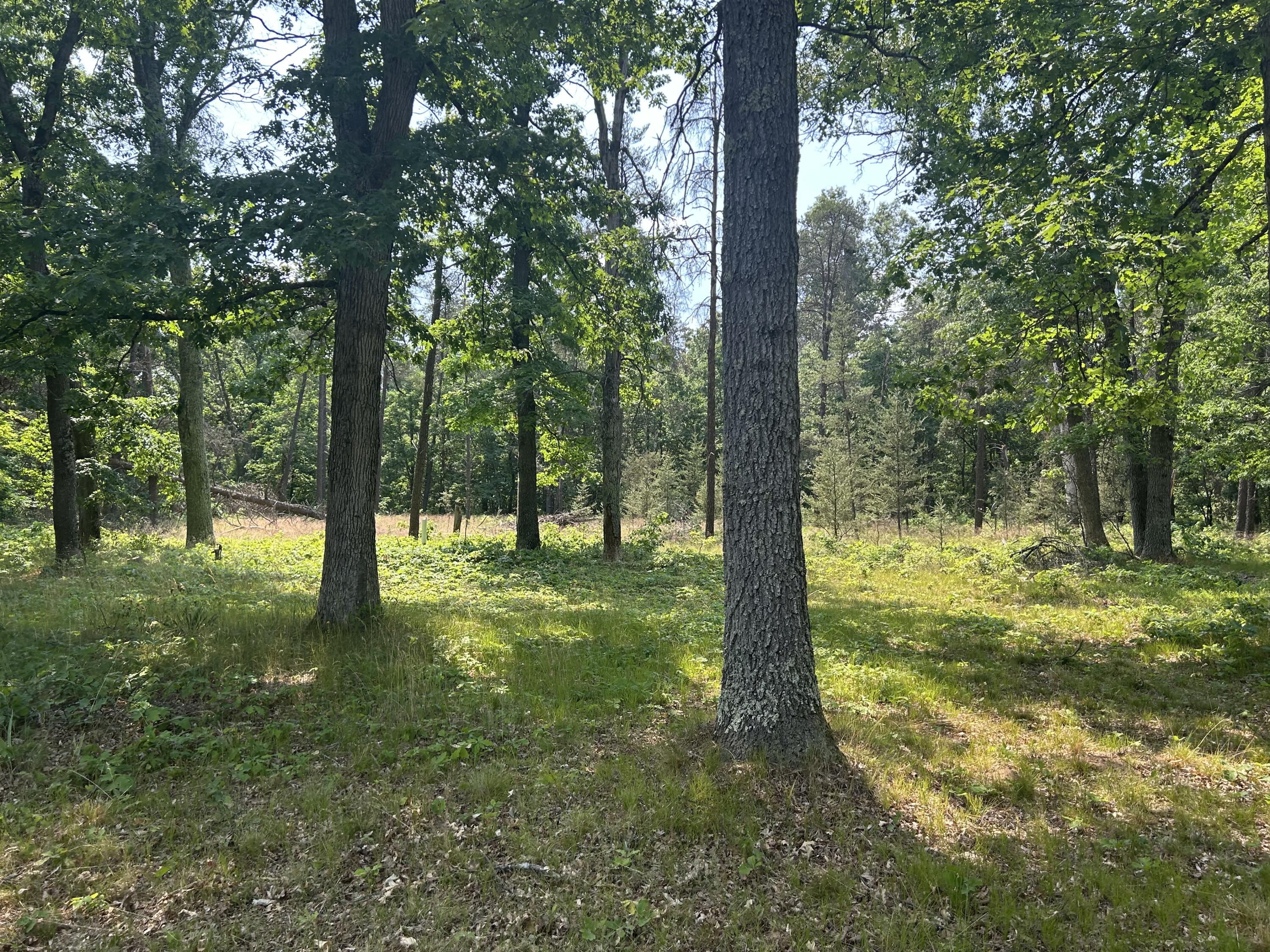 3423 South James Road Baldwin, MI 49304 - Photo 28 of 33 IMG_1741