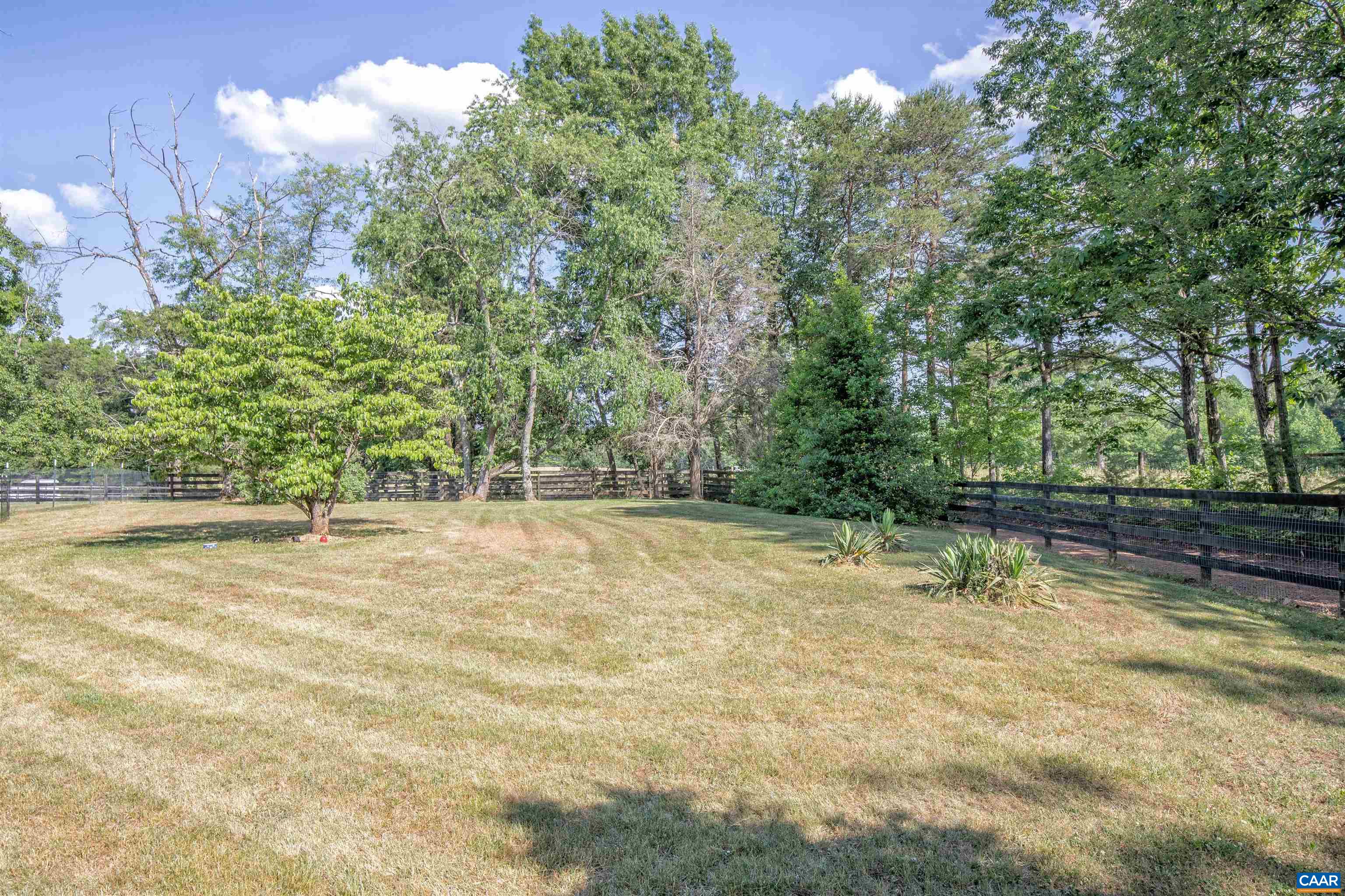 39 Dunsford Lane Dillwyn, VA 23936 - Photo 10 of 75 a view of a yard with plants and trees