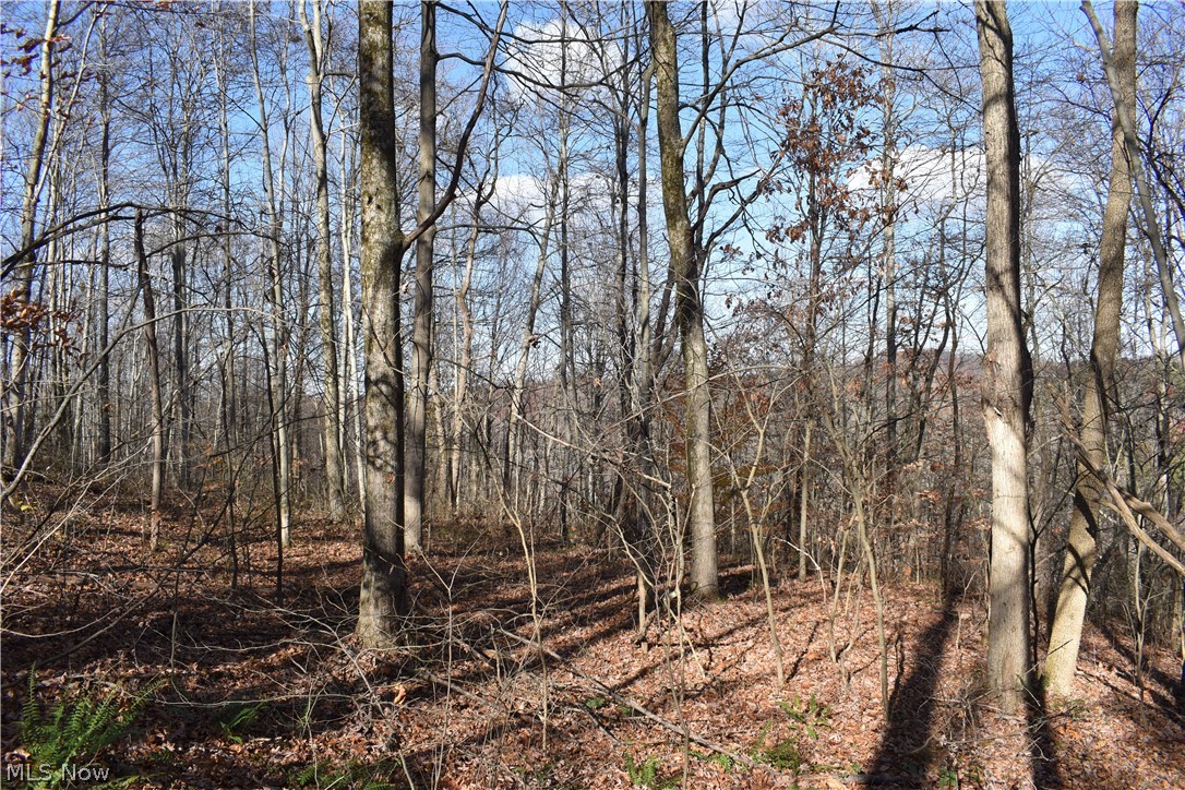 260 Rear State Route Lower Salem, OH 45745 - Photo 15 of 32 Gallery Image 15
