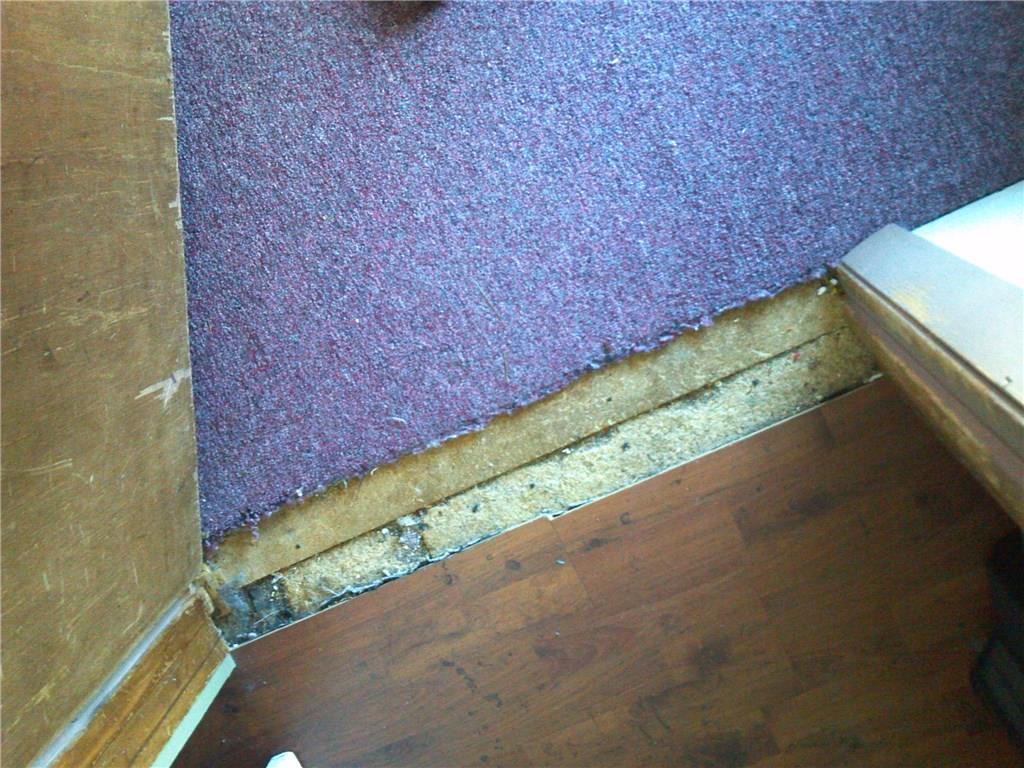 36 Mease Road Dixfield, ME 04224 - Photo 28 of 35 Photo