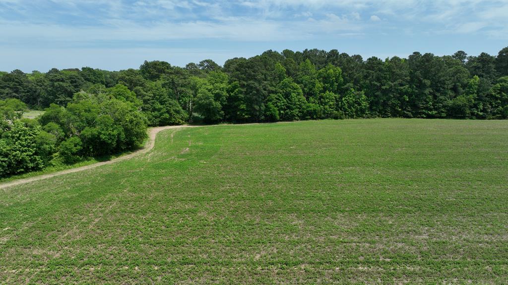0 Cedar View Road Painter, VA 23420 - Photo 66 of 72