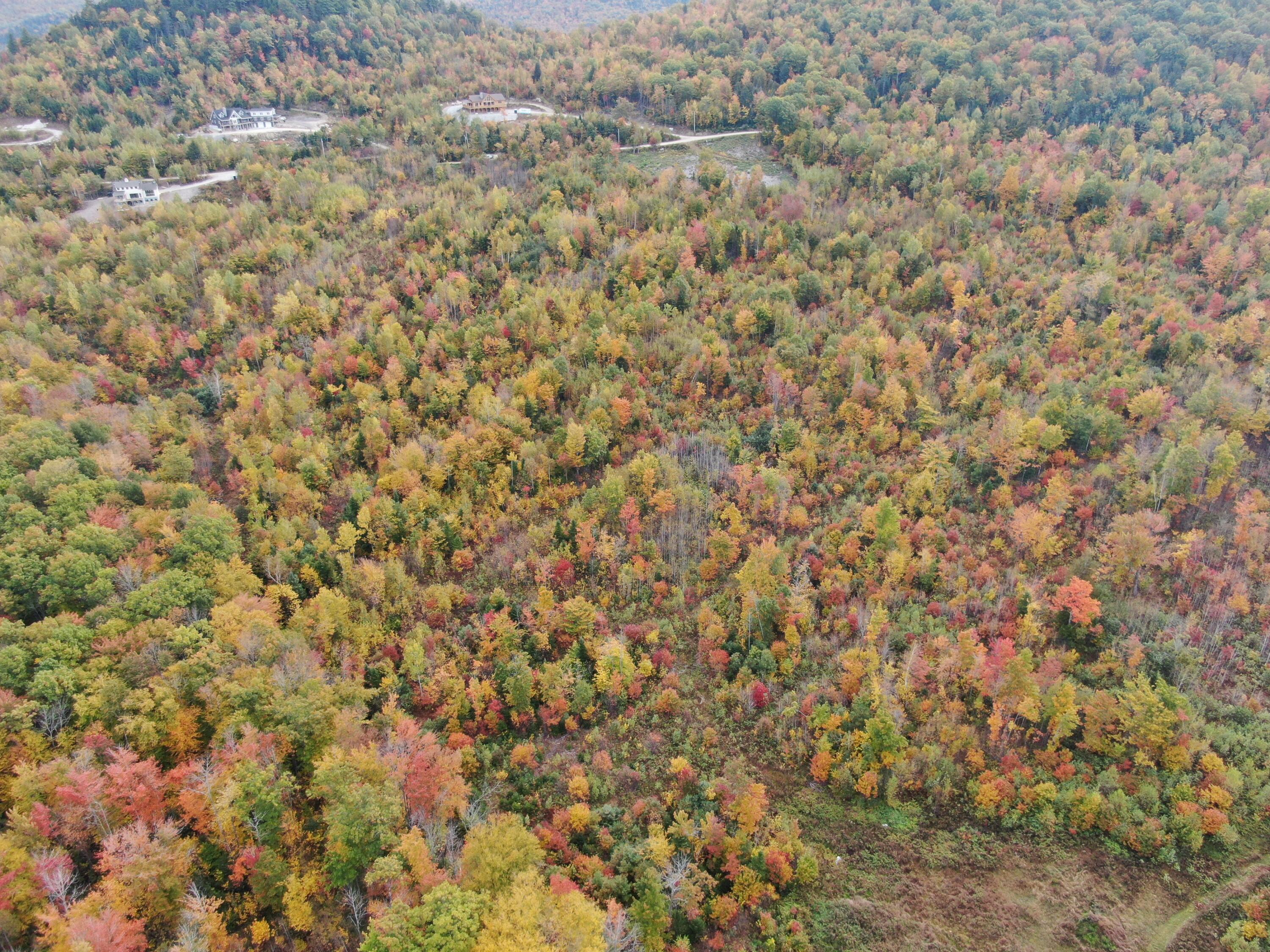 86 Nevel Road Bethel, ME 04217 - Photo 12 of 13 DJI_0141