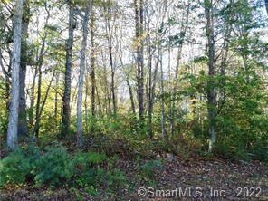 Nice level lot -