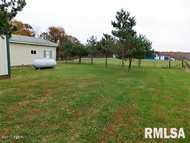 7955 Sinclair Road Kinmundy, IL 62854 - Photo 8 of 19