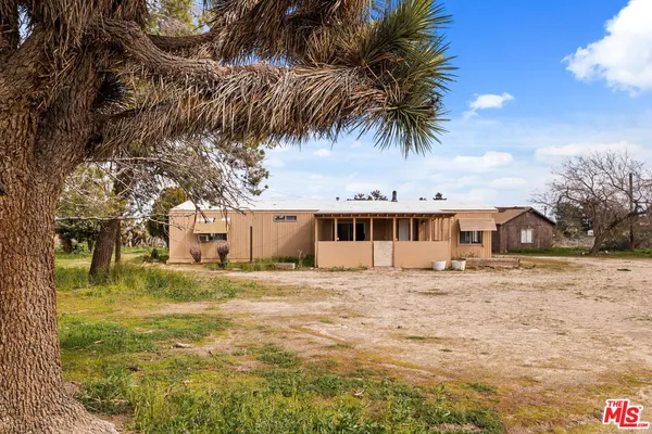 a palm tree sitting in front of a house with a yard