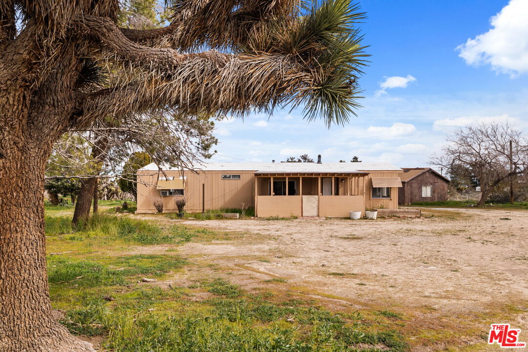 a palm tree sitting in front of a house with a yard
