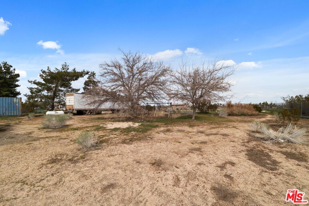 4388 Amador Road Phelan, CA 92371 - Photo 42 of 56 a view of a yard with an trees