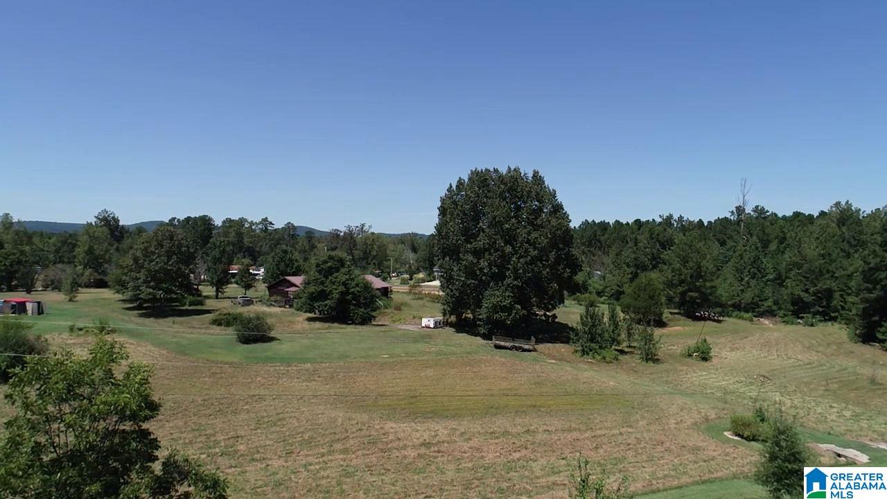 133 Ross Lake Road Wellington, AL 36279 - Photo 35 of 44