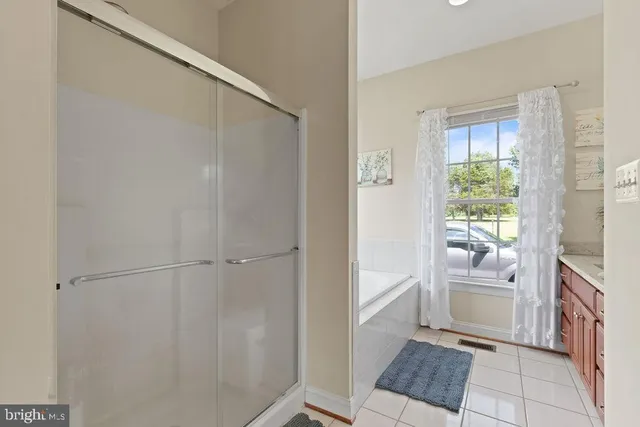 a view of a park with large trees