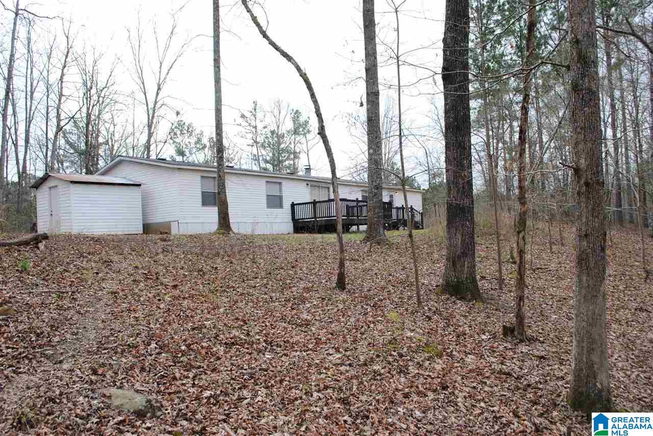 197 Sequoyah Road Pell City, AL 35128 - Photo 8 of 22